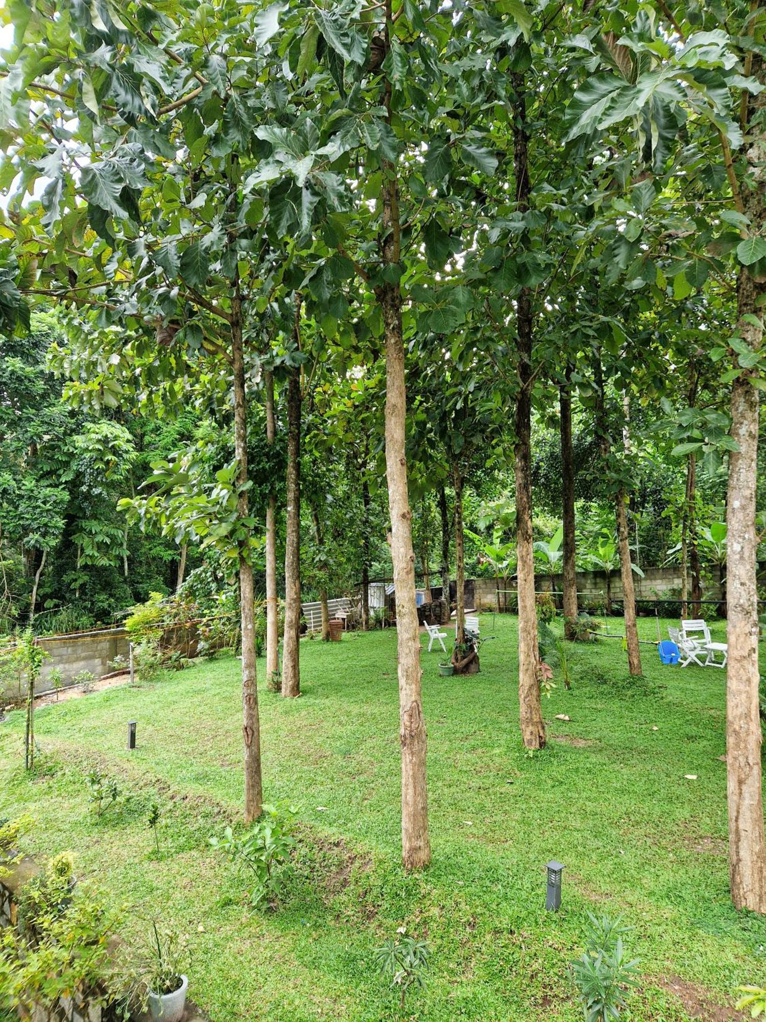Villa Sole Kandy Exterior foto