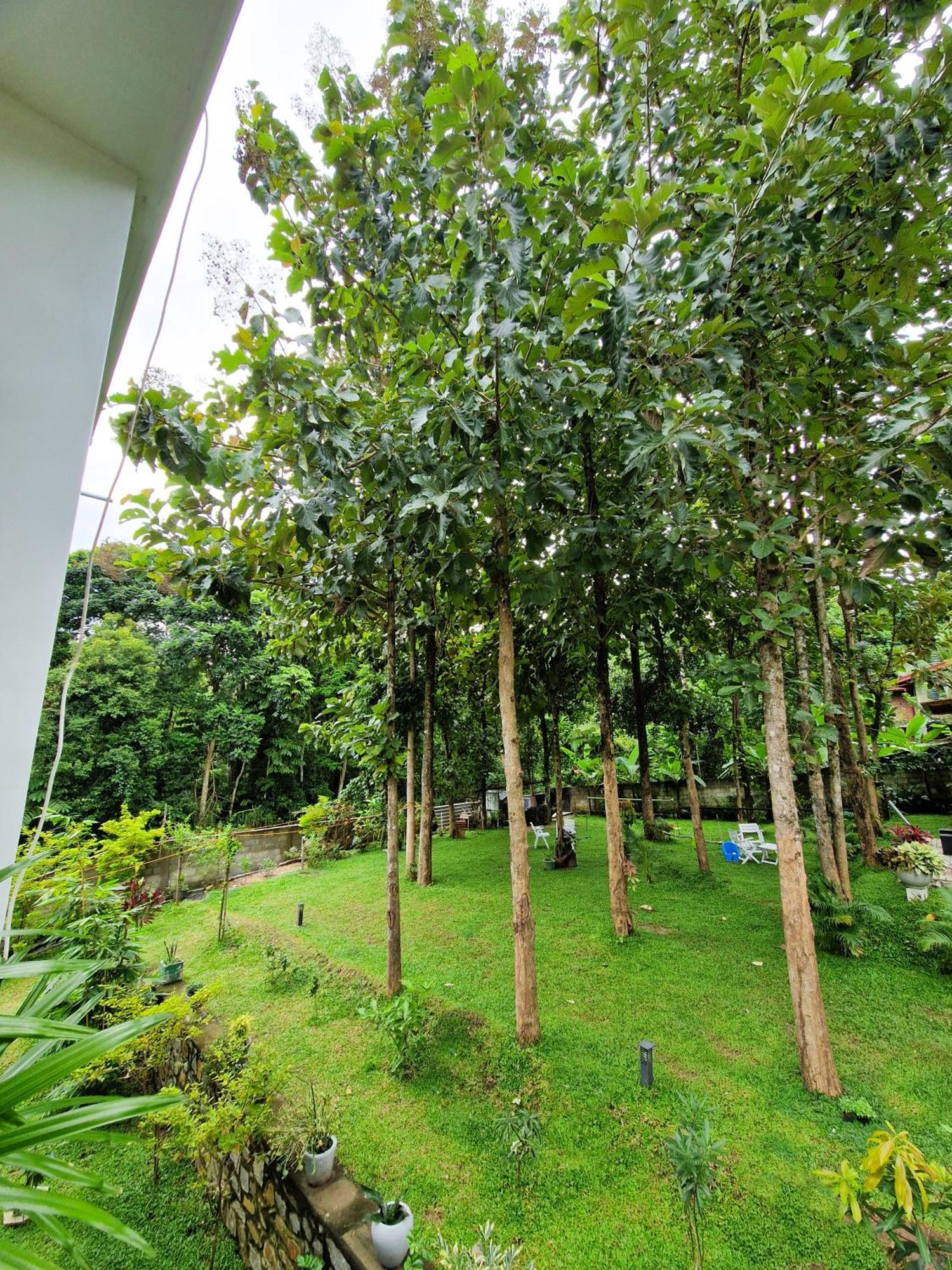 Villa Sole Kandy Exterior foto